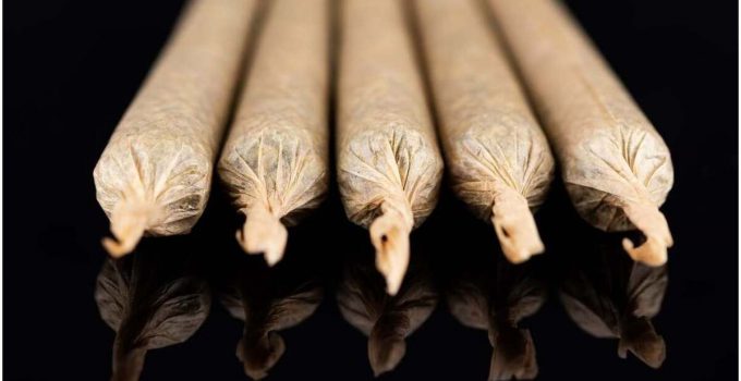 Qu’est ce que ça fait d’être High en Marijuana ?